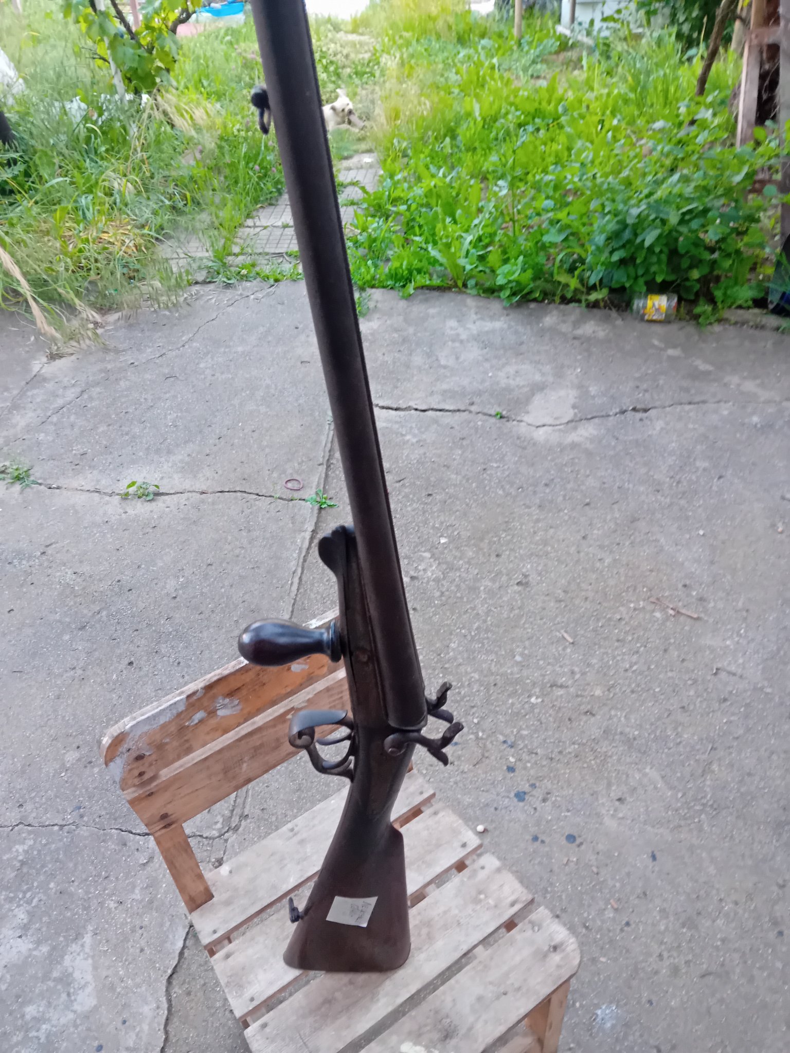 Antique-style single-shot long gun (likely a muzzleloading rifle or shotgun, exact type unknown)