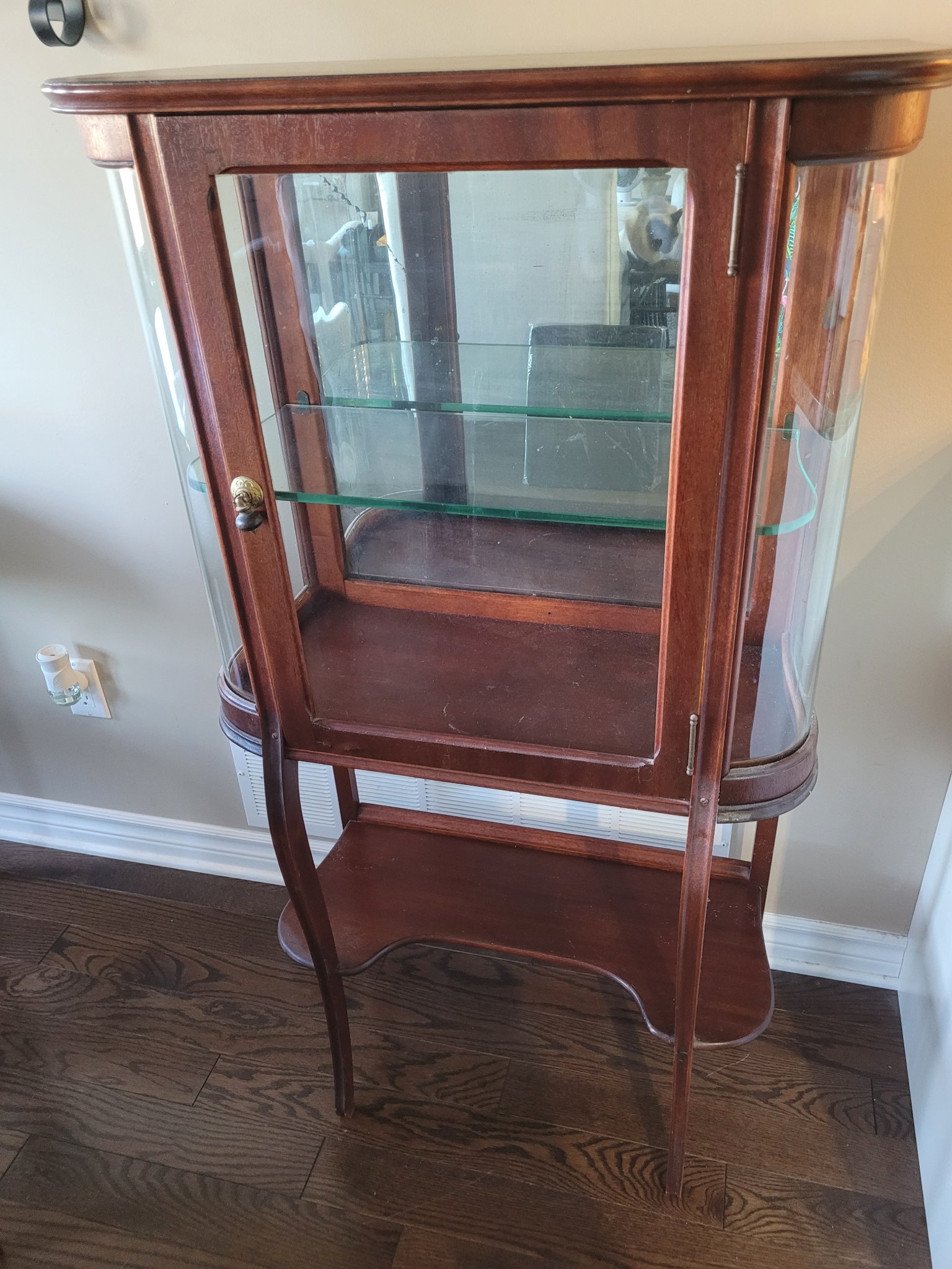Curved-glass display cabinet / curio cabinet